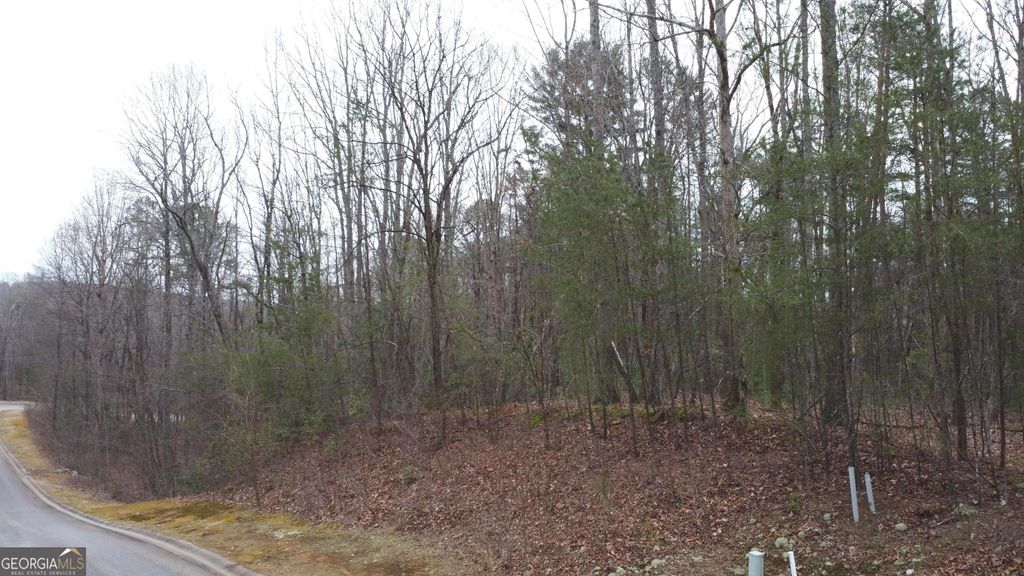 LOT 1446 Glazenwood Drive, Clarkesville, GA 30523 — photo 4