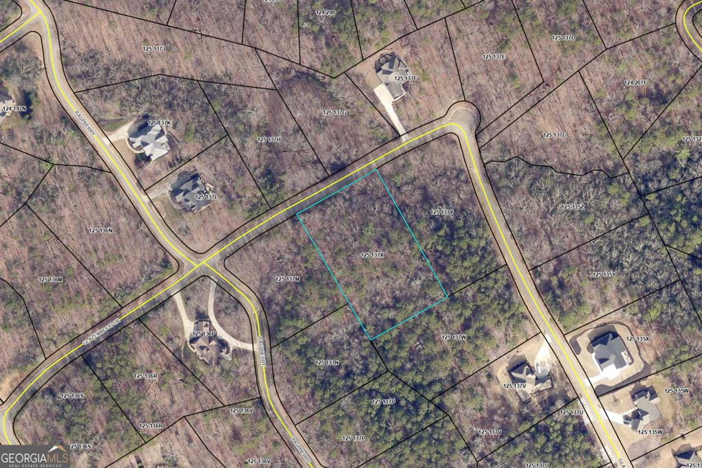 LOT 1446 Glazenwood Drive, Clarkesville, GA 30523 — photo 5