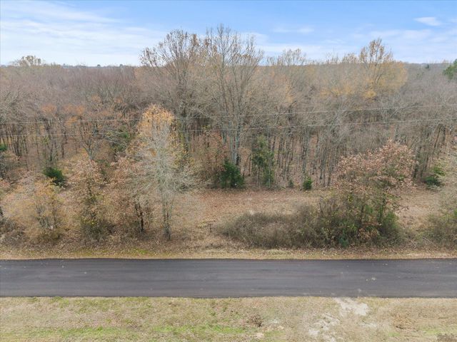 TBD Rs County Road 3220, Emory, TX 75440