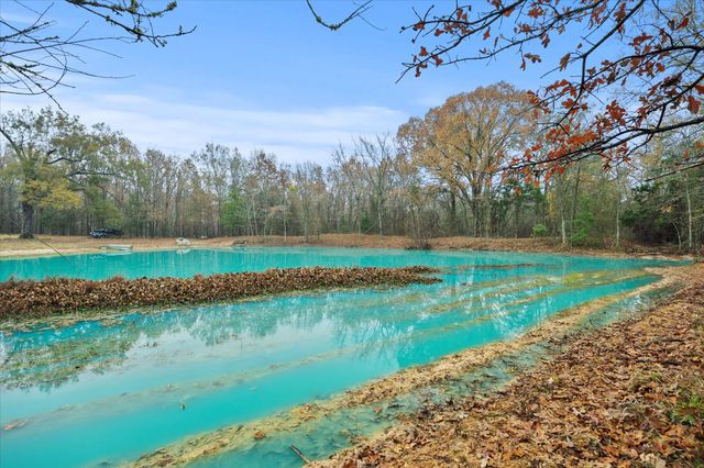 TBD Rs County Road 3220, Emory, TX 75440