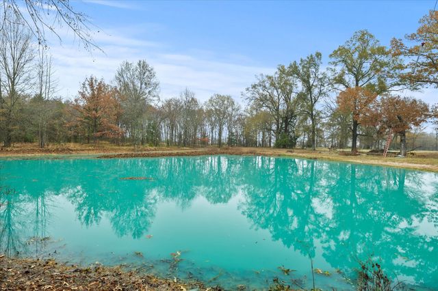 TBD Rs County Road 3220, Emory, TX 75440