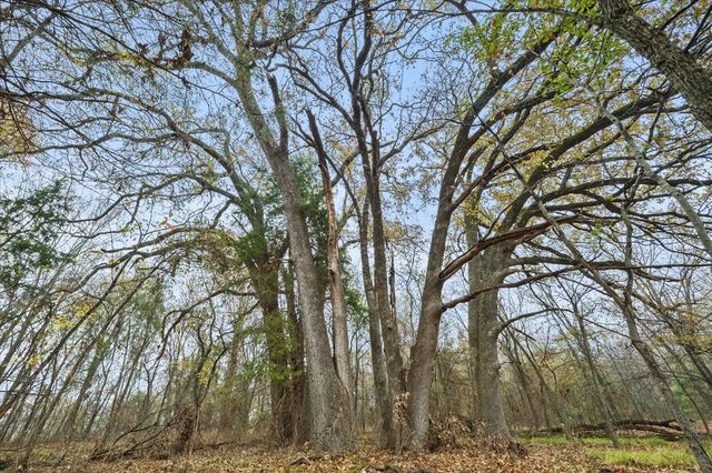 TBD Rs County Road 3220, Emory, TX 75440