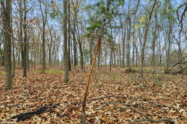 TBD Rs County Road 3220, Emory, TX 75440