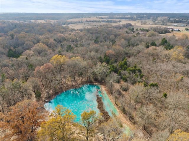 TBD Rs County Road 3220, Emory, TX 75440