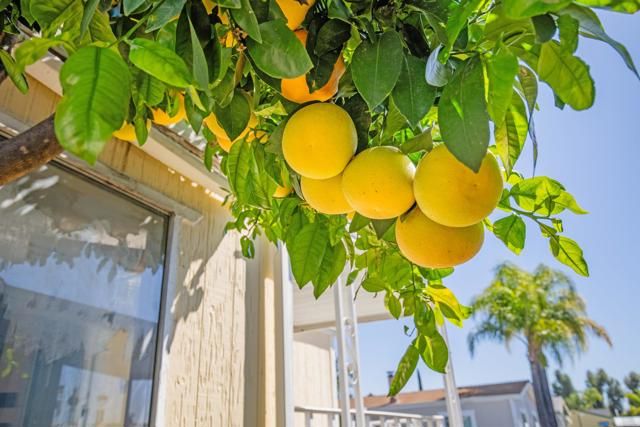 1537 H Street SPC 54, Ramona, CA 92065