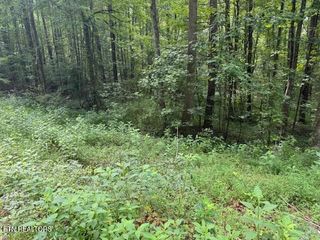 Lot 2 Timber Lake Drive, Cosby, TN 37722