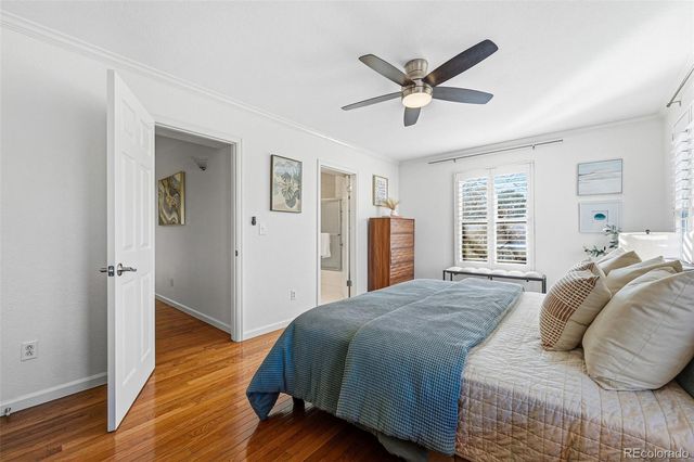 918 Ivanhoe Street, Denver, CO 80220