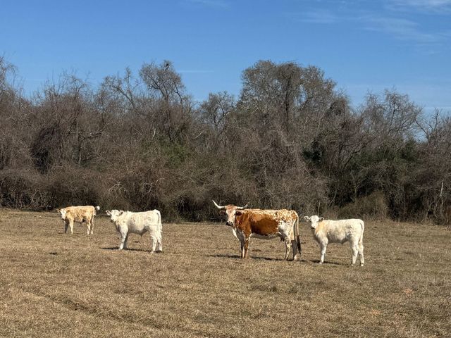 0 West Road, Navasota, TX 77868
