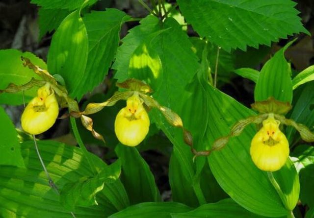 W4663 US HWY 12 & 16, Mauston, WI 53948