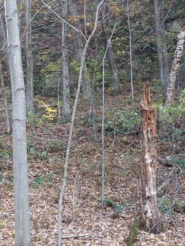 W4663 US HWY 12 & 16, Mauston, WI 53948