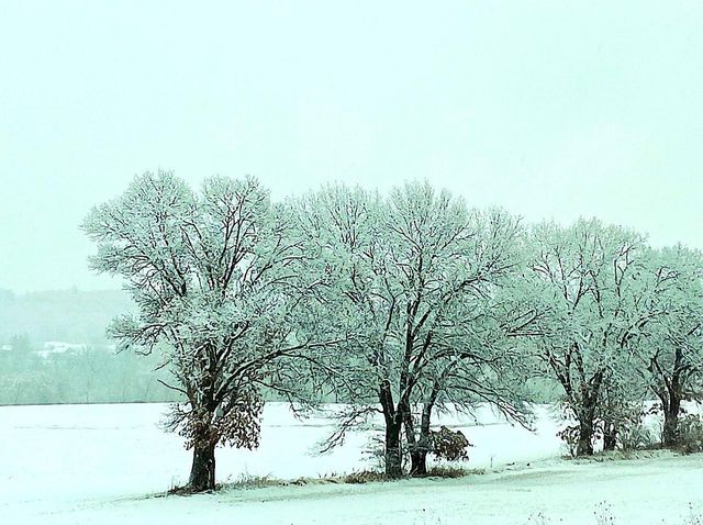 W4663 US HWY 12 & 16, Mauston, WI 53948