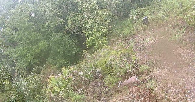 0 298th Street, Okeechobee, FL 34972