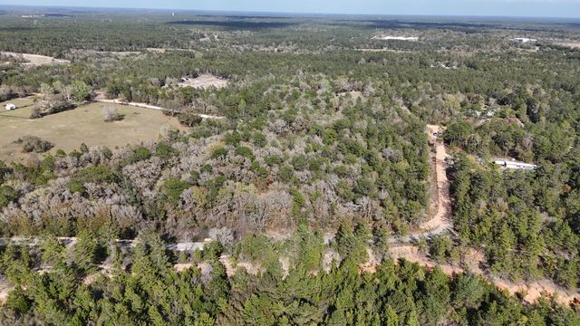 4.2 Rio Ranchero Road, Defuniak Springs, FL 32433