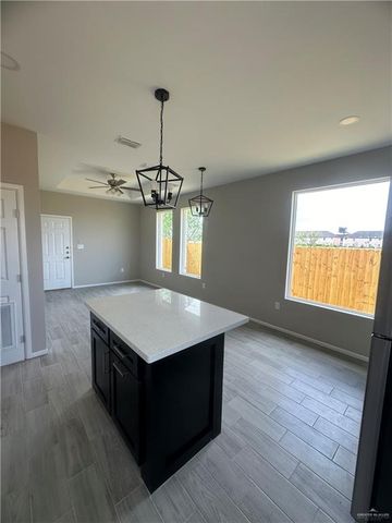 3801 Chapa Avenue, Palmview, TX 78574