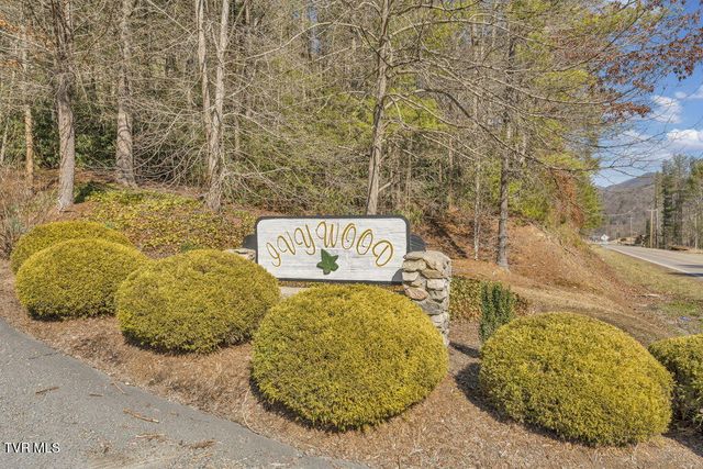 319 Ivy Wood Lane, Mountain City, TN 37683