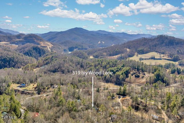 319 Ivy Wood Lane, Mountain City, TN 37683