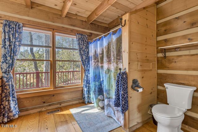 319 Ivy Wood Lane, Mountain City, TN 37683