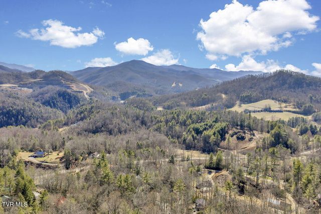 319 Ivy Wood Lane, Mountain City, TN 37683