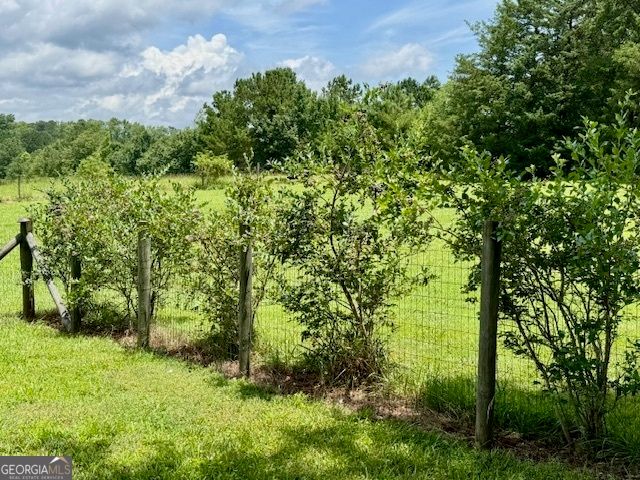 360 Morgan Mill Road, Brooks, GA 30205
