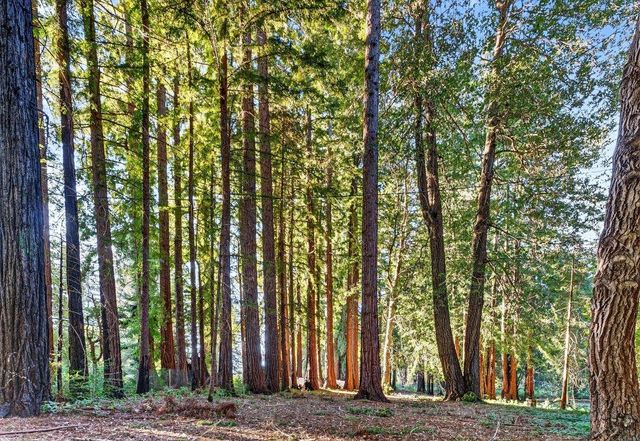 8472 Empire Grade, Santa Cruz, CA 95060