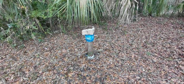 516 S TUCK POINT, Inverness, FL 34450