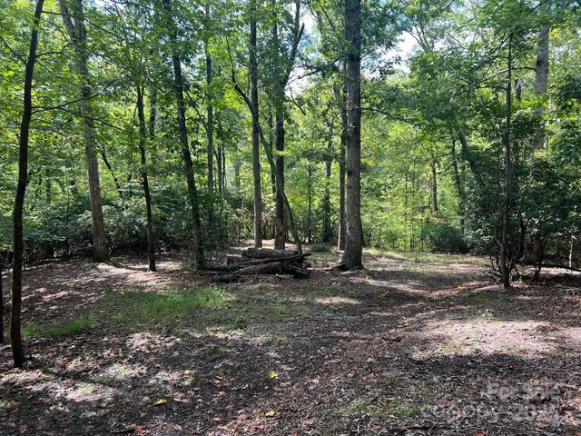 TBD Blue Horse Lane, Columbus, NC 28722