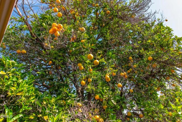 5275 N Creston Lane, Somis, CA 93066