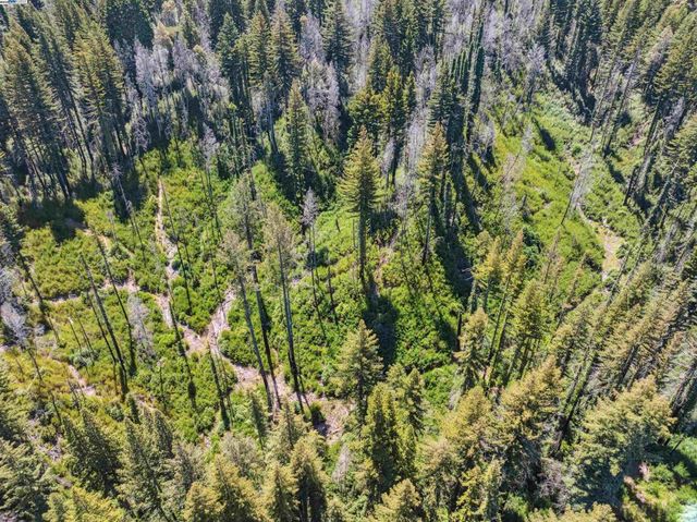 3 Branson Rn, Boulder Creek, CA 95006