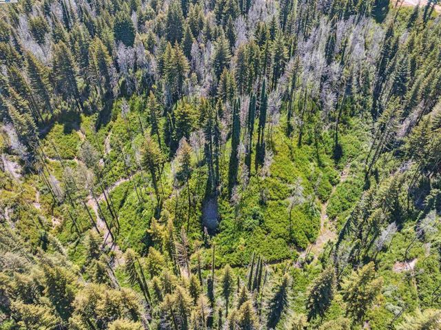 3 Branson Rn, Boulder Creek, CA 95006