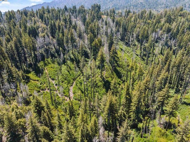 3 Branson Rn, Boulder Creek, CA 95006