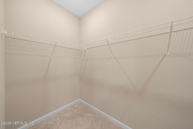 9544 LOVAGE Lane, Jacksonville, FL 32219