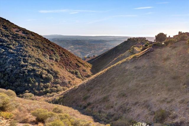 18179 El Brazo, Rancho Santa Fe, CA 92067