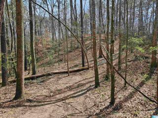 0 HAMMOCK ROAD, Trussville, AL 35173
