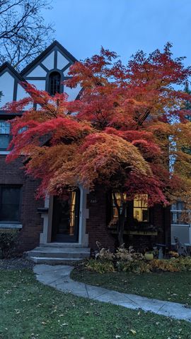 2221 Meadowwood Drive, Toledo, OH 43606