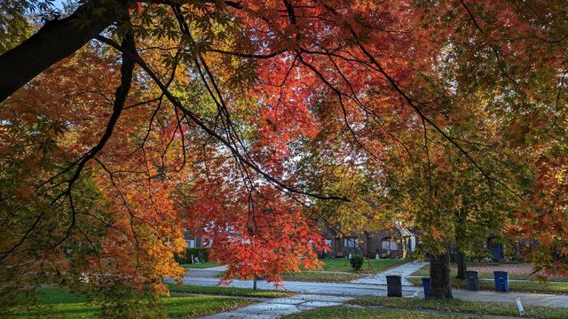 2221 Meadowwood Drive, Toledo, OH 43606