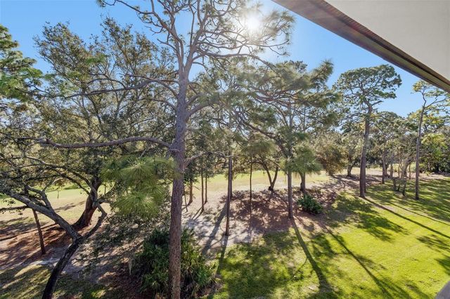 36750 US HIGHWAY 19 N 19306, Palm Harbor, FL 34684