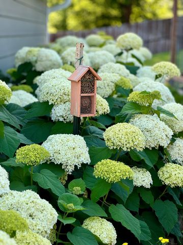 2709 W 60th Street, Minneapolis, MN 55410