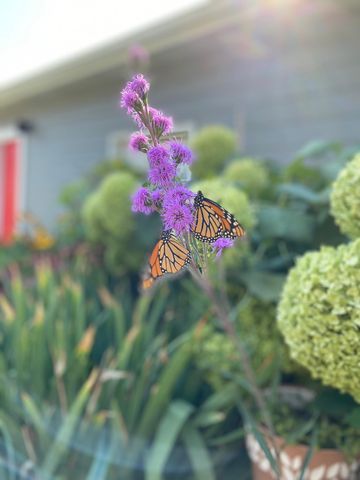 2709 W 60th Street, Minneapolis, MN 55410