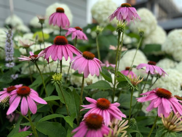 2709 W 60th Street, Minneapolis, MN 55410