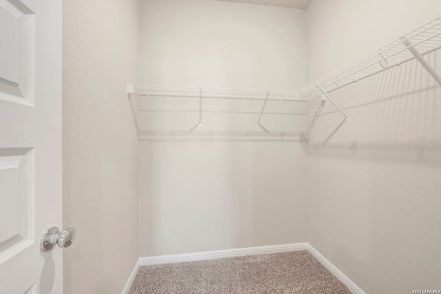 6240 Persimmon Lake, San Antonio, TX 78245