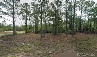 10599 N CALDERA AVENUE, Citrus Springs, FL 34433