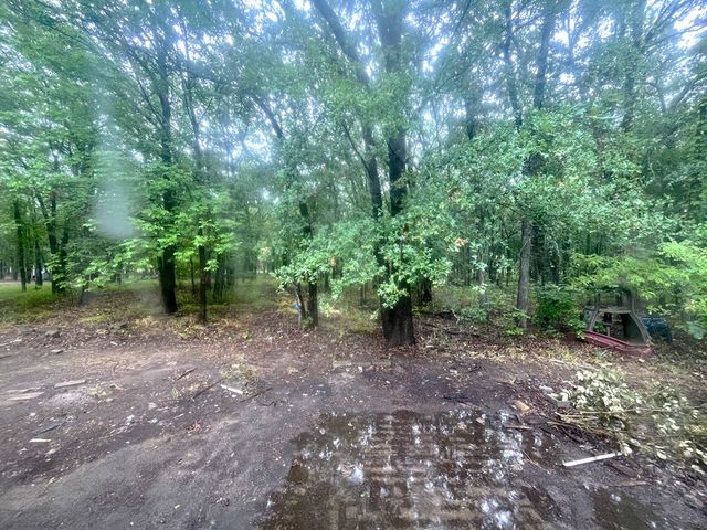 1312 Raintree Road, West Tawakoni, TX 75474