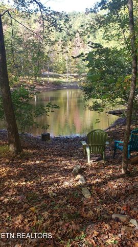 1029 Smithfield Rd, Tellico Plains, TN 37385