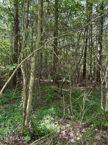 241 Star Lake Way, Deer Lodge, TN 37726