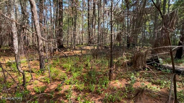 241 Star Lake Way, Deer Lodge, TN 37726