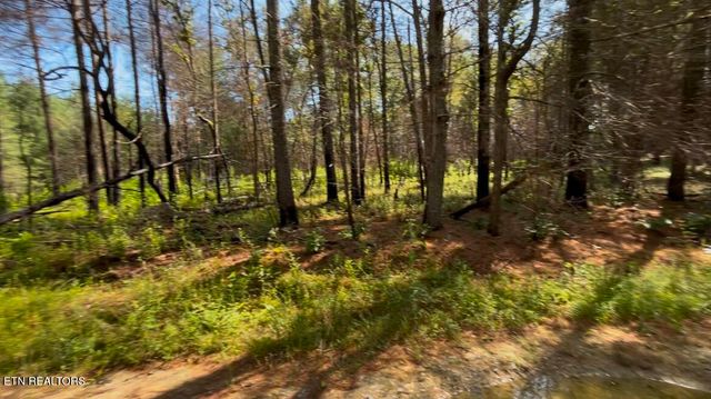 241 Star Lake Way, Deer Lodge, TN 37726