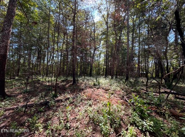 241 Star Lake Way, Deer Lodge, TN 37726