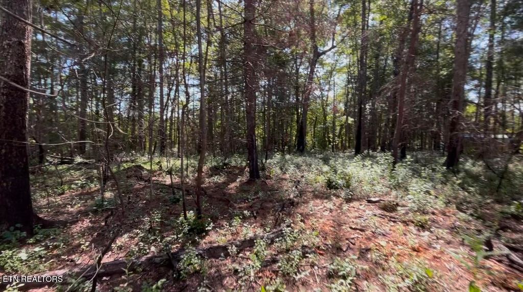 241 Star Lake Way, Deer Lodge, TN 37726