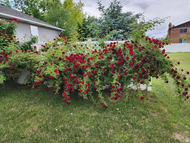 5061 S 3500 W, Roy, UT 84067