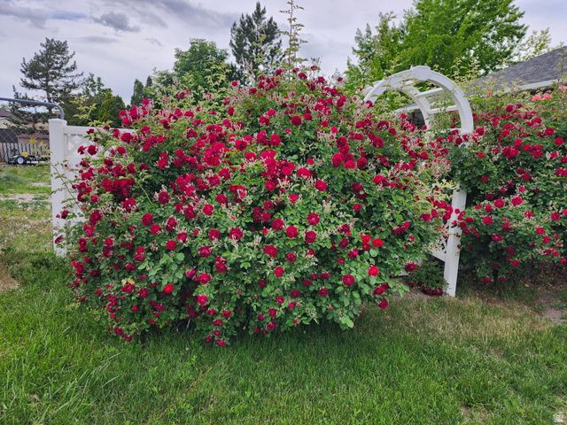 5061 S 3500 W, Roy, UT 84067